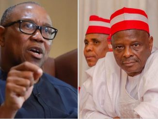 Peter Obi Is Bigger Than Rabiu Kwankwaso - Bashir Ahmad