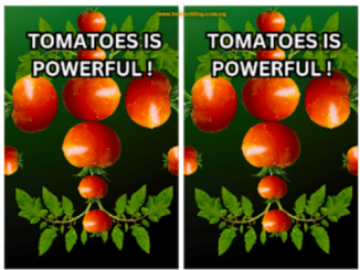 Use fresh tomatoes can cure this powerful disease.