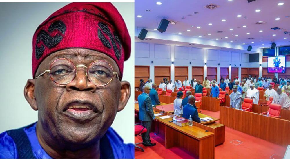 Drama in Senate as APC Senator Questions Tinubu’s Loans, Unpaid Contractors